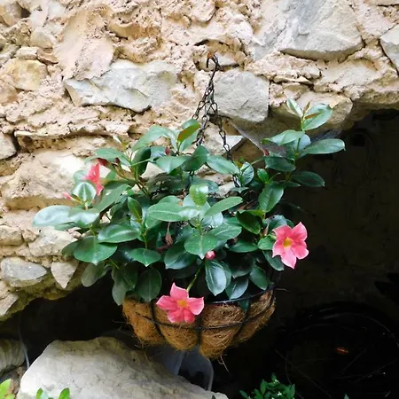 Bed & Breakfast La Maison Jules Goux 3*
